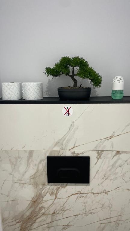 Luxe home – photo 26