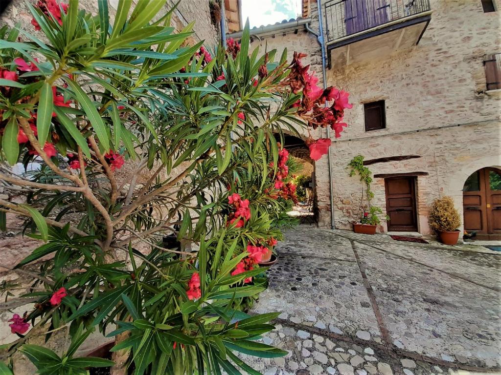 a tree with pink flowers in front of a building at Eremo di Santo Apollinare in Messenano