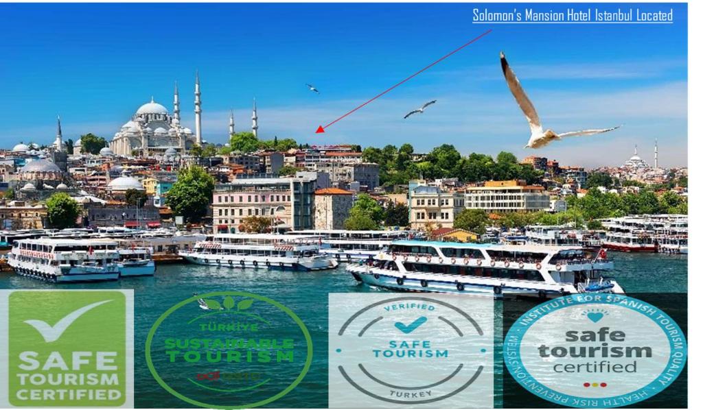 Eine Gruppe von Booten liegt in einem Hafen vor Anker. in der Unterkunft Solomon's Mansion Hotel Istanbul in Istanbul