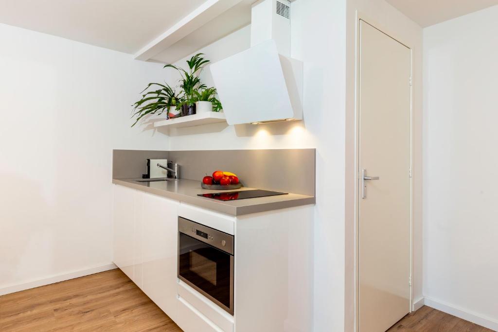 Designer Loft Apartment in Delft city new 38B