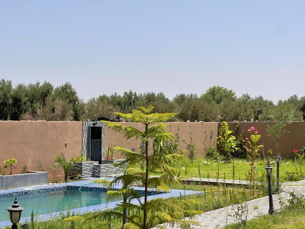 un jardín con un pequeño árbol y una piscina en Villa avec piscine ( régions de Marrakech), 