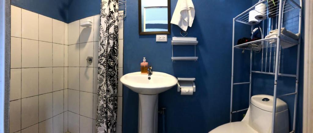 uma casa de banho azul com um lavatório e um chuveiro em Lissadell Country House em Monteverde