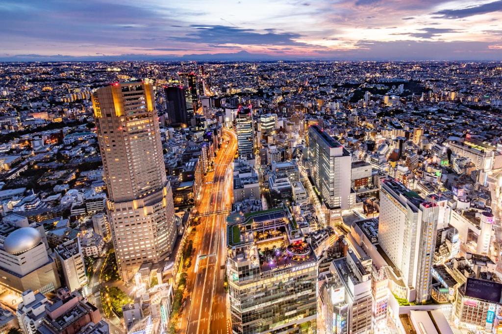 una vista aérea de una ciudad por la noche en Cerulean Tower Tokyu Hotel, A Pan Pacific Partner Hotel en Tokio