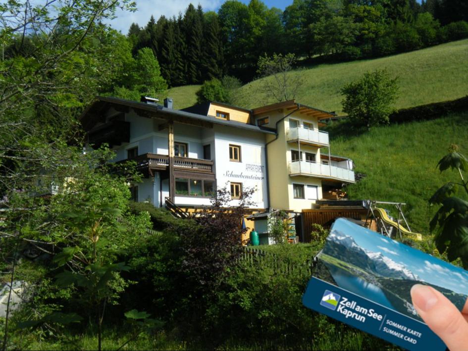 Príroda v okolí apartmánu