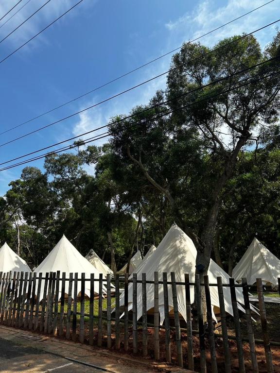Fotografie z fotogalerie ubytování Touching Camping v destinaci Hou-lung-tzu
