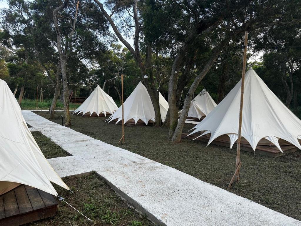 Zahrada ubytování Touching Camping
