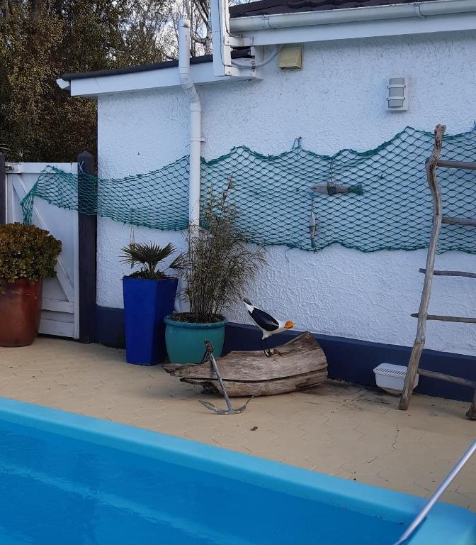 Bunny Cottage - Resim 10