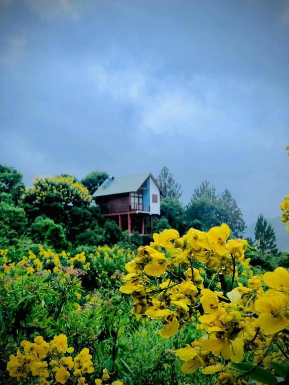 La Seran Eco Resort - Hizvo
