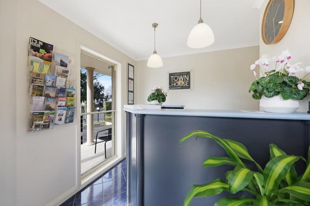 Una cocina con una encimera azul y una planta. en Hamilton Townhouse Motel, en Hamilton