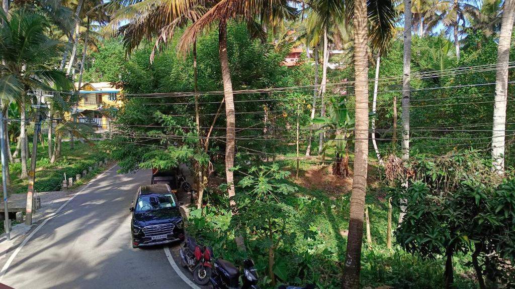 Zahrada ubytování Abhi's cafe avaduthura kovalam