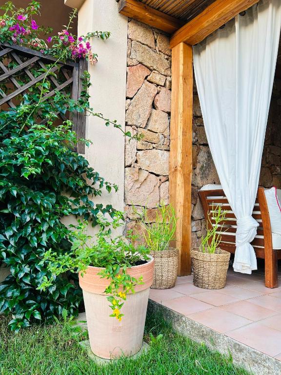 Ogród w obiekcie casa sardina palau