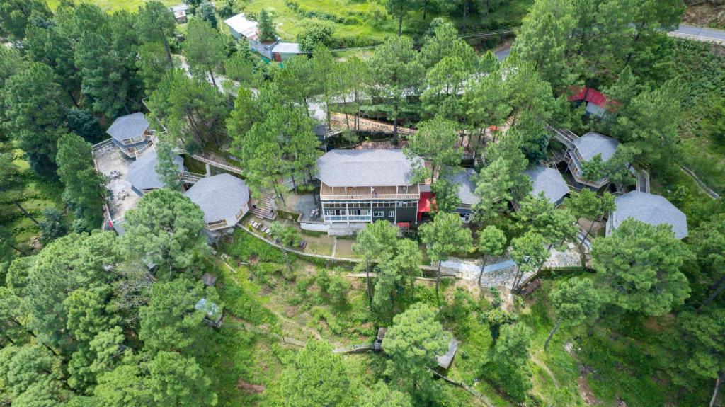 an aerial view of a house in the woods at The Woods Retreat in Lansdowne