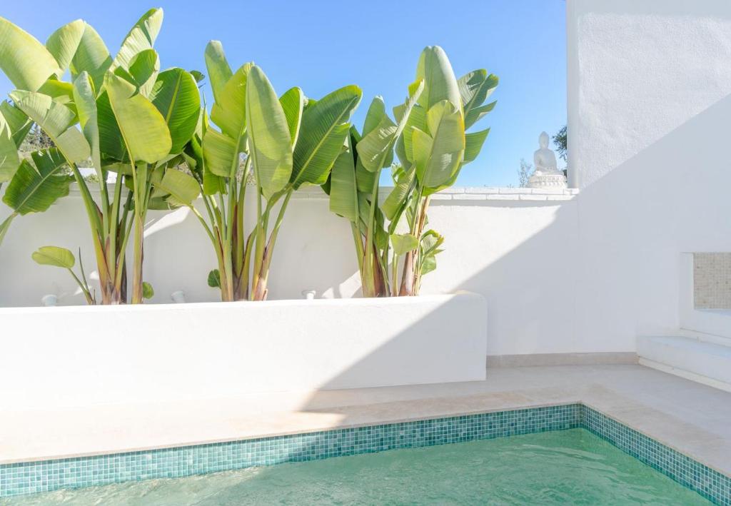 Fotografia z galérie ubytovania Villa White Bay Marbella v Marbelli