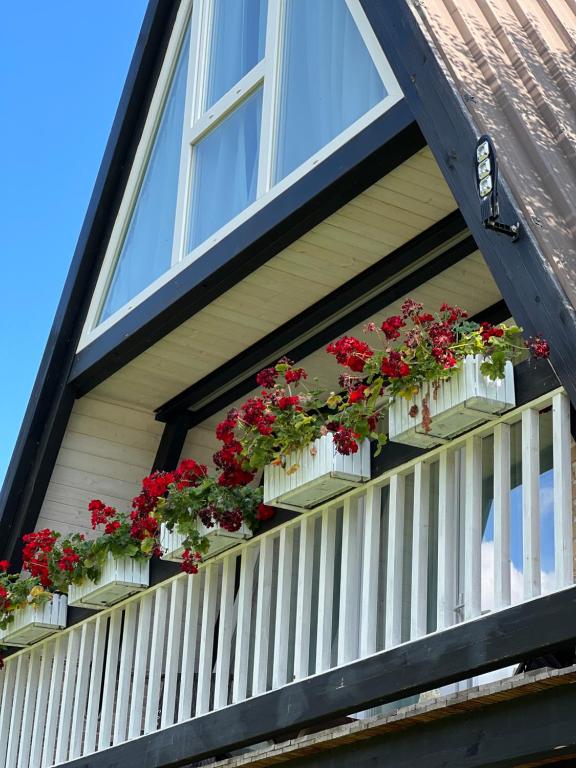 eine Fensterbox mit Geranien auf einem Haus in der Unterkunft Columbus Villas in Vermosh