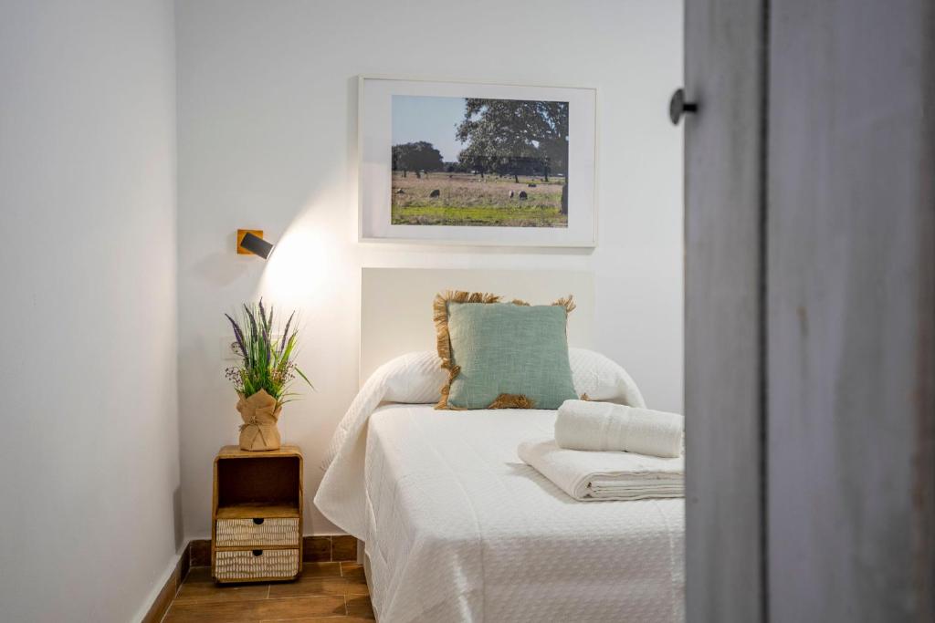 1 dormitorio con cama blanca y almohada azul en APARTAMENTO BERROCALA, en Cáceres