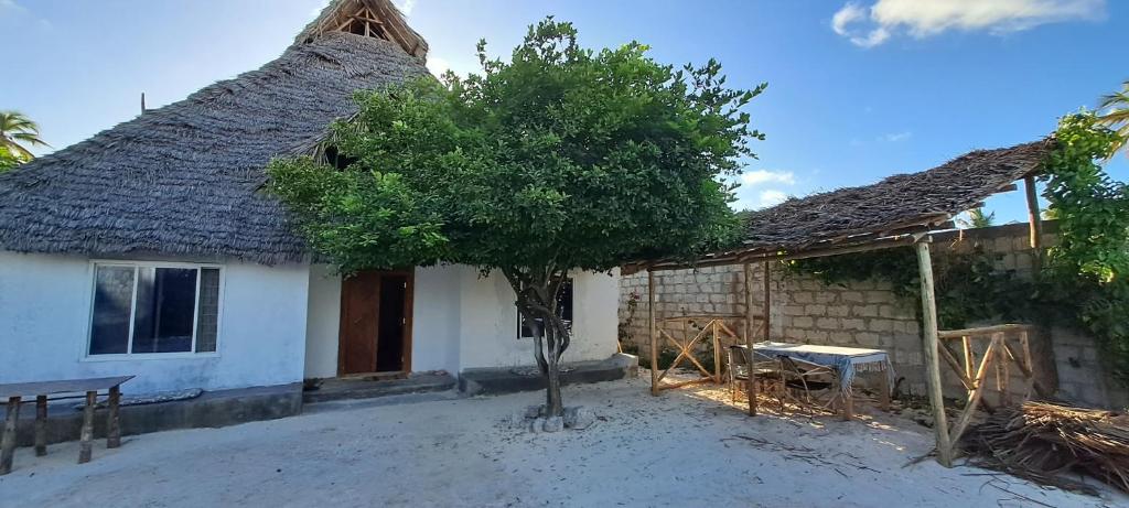 uma pequena casa com telhado de palha em Karikila em Paje