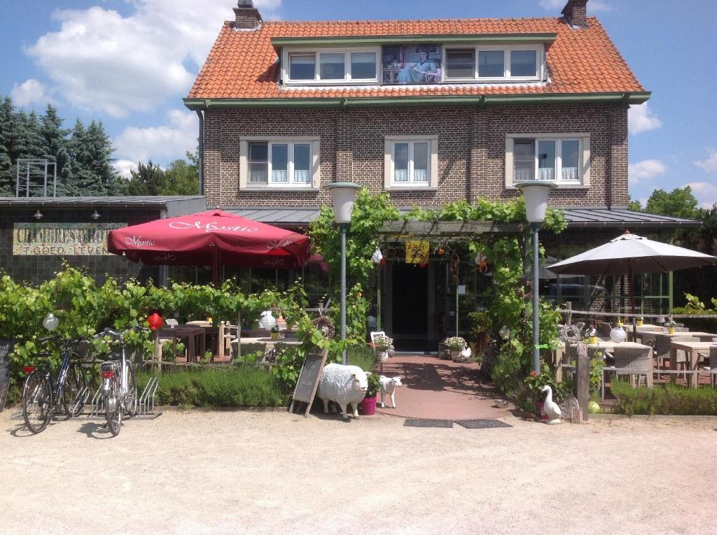 Gallery image of Guesthouse 't Goed Leven in Stokrooie