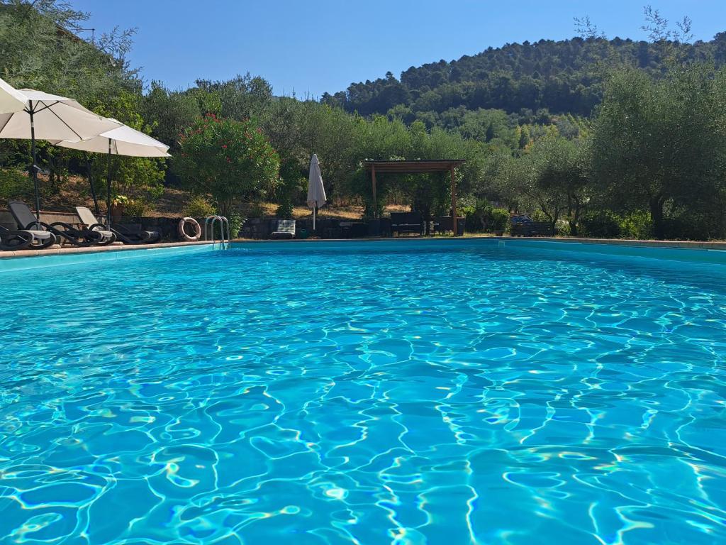 a large blue swimming pool with an umbrella at Agriturismo Poggio all'Olmo in Greve in Chianti