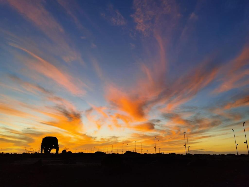 un elefante in piedi in un campo al tramonto di Casa Fuerte Aventura a Lajares