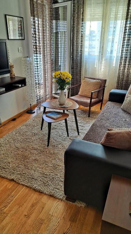 TV a/nebo společenská místnost v ubytování Apartman Miss T