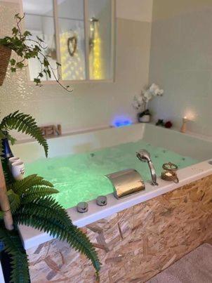 a bathroom with a bath tub with a green substance at LOVER'S ROOM TROPIC in Verton