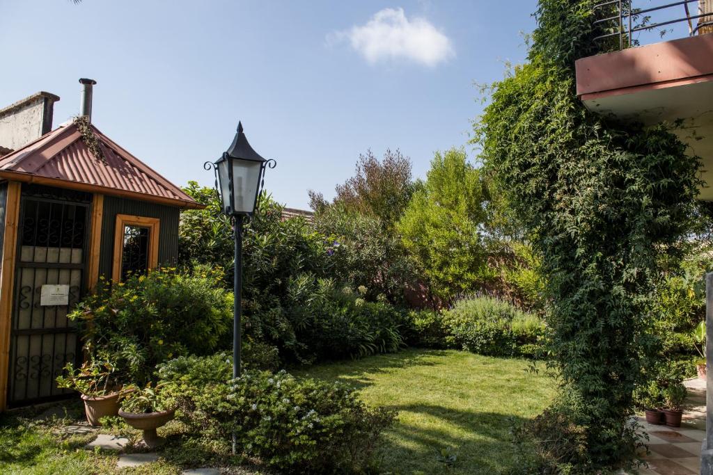 Zahrada ubytování Hotel Boutique Acontraluz