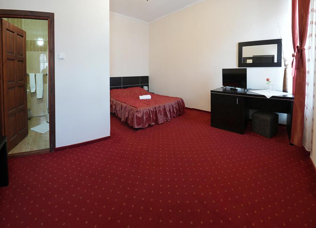 TV a/nebo společenská místnost v ubytování Hotel Rubin***