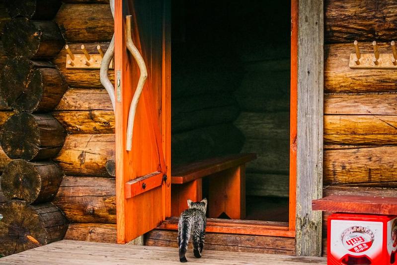 Fotografie z fotogalerie ubytování Glämping Jantsu talus v destinaci Pilka