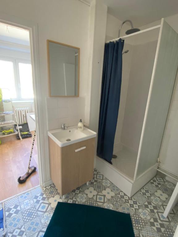 W łazience znajduje się umywalka i prysznic. w obiekcie Beau T3 boulevard de Strasbourg w Hawrze