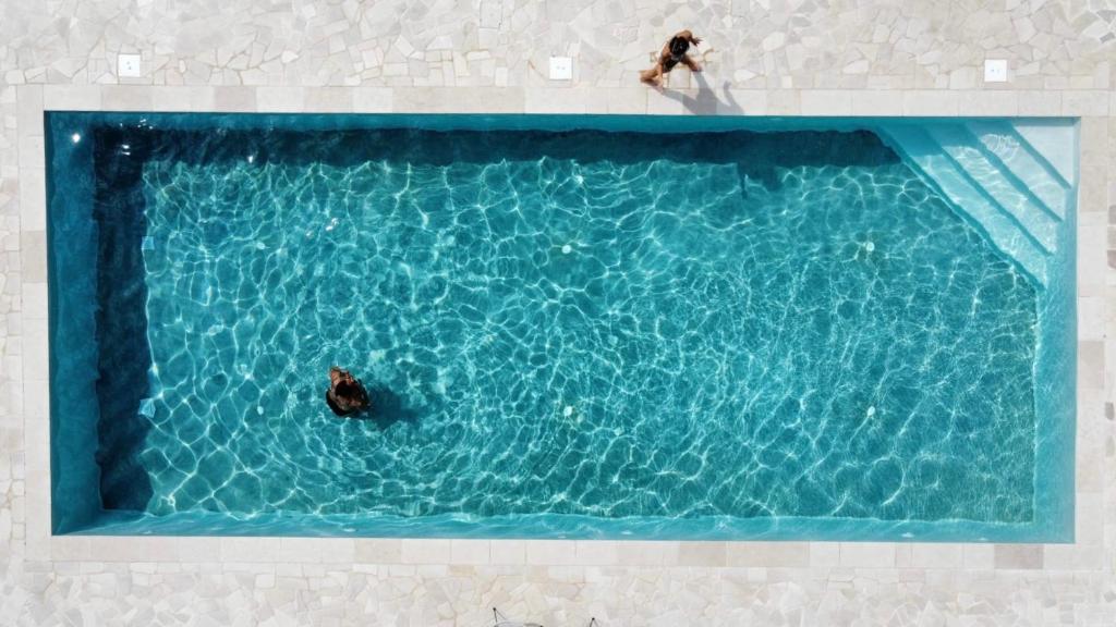 2 personas nadando en una gran piscina azul en Masseria Petrusella, en Giuggianello