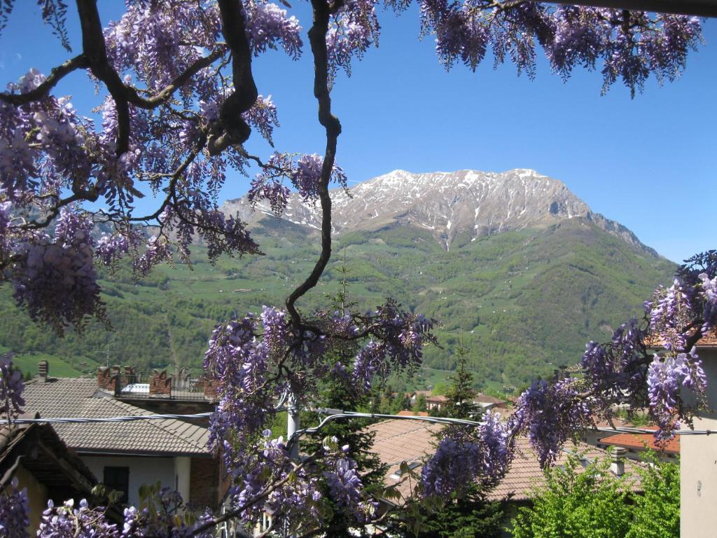 una montagna sullo sfondo con un albero con fiori viola di Albergo Esposito a Barzio