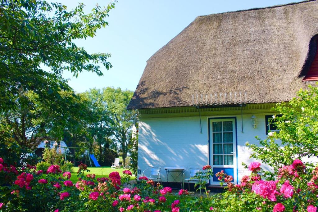 a cottage with a thatched roof and flowers at Traumstrasse in Witsum