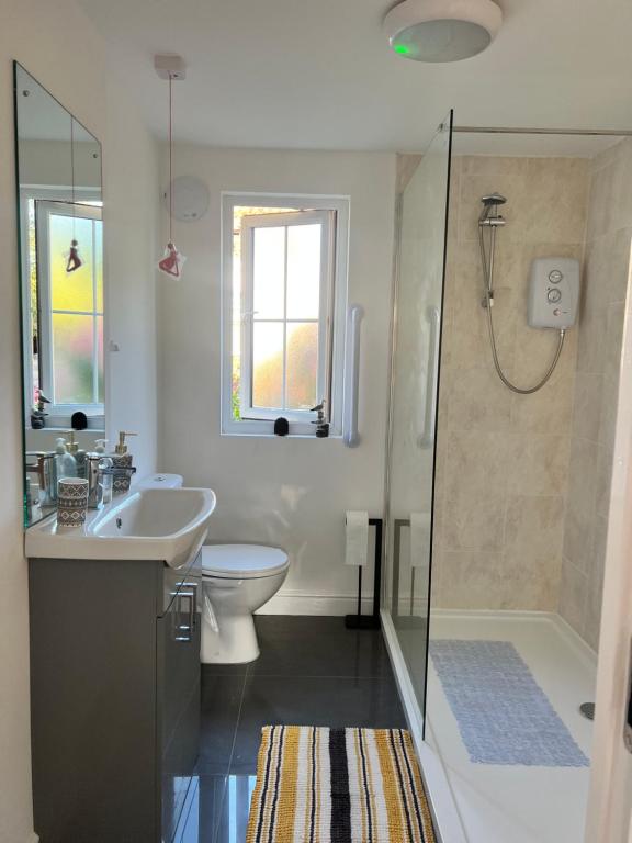 uma casa de banho com um WC, um lavatório e um chuveiro em Dune Delight em Camber