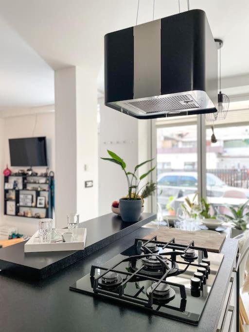 Kuchyň nebo kuchyňský kout v ubytování Apartment *MALA*