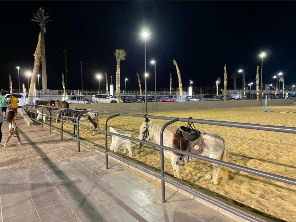Hosté ubytování تمتع بالإقامة في شاليه فندقي بمنتجع جولف بورتو مارينا الساحل الشمالي العلمين - Enjoy your stay at Golf Porto Marina Resort El Alamein - North Coast