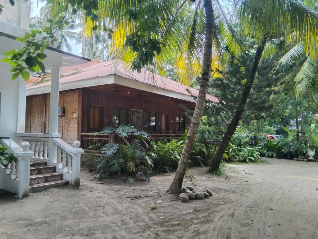 una casa con una palma di fronte di Tamayo Beach Resort a Labason