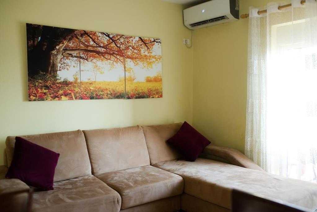 OVI's Home - Image 5