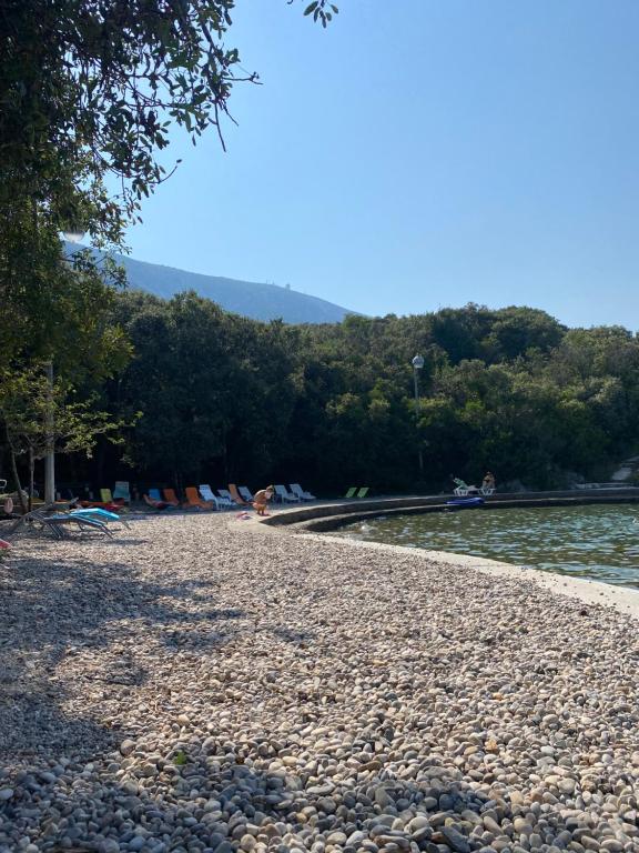 Príroda v okolí apartmánu