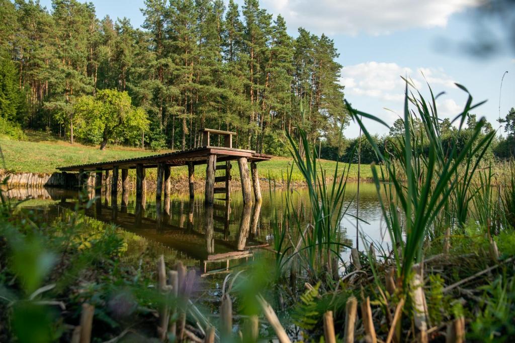 a wooden bridge over a body of water at Agroturystyka Leśna Dolina 