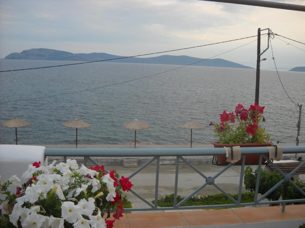 Príroda v okolí apartmánu