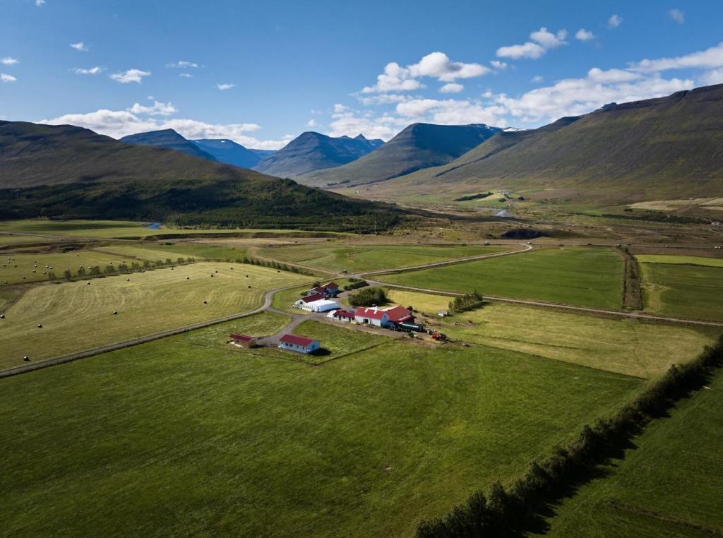 een luchtzicht op een boerderij in een groen veld bij Guesthouse Baegisa in Akureyri