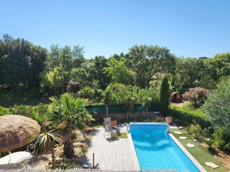 um quintal com uma piscina e um resort em Superbe appartement au calme avec piscine em Montagnac