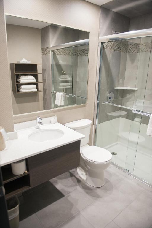 a bathroom with a toilet and a sink and a shower at Stonecroft Inn in Windsor
