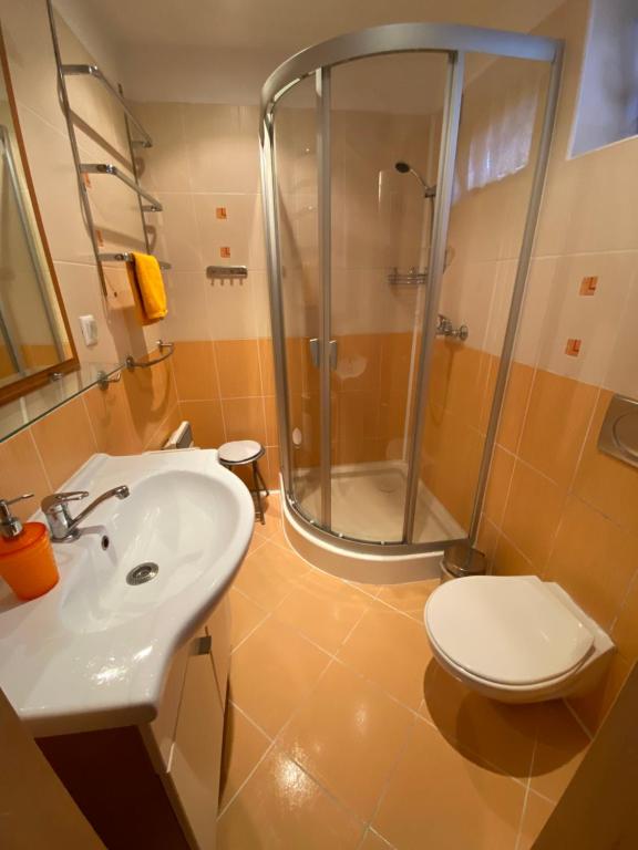 a bathroom with a shower and a sink and a toilet at Apartmán Donovaly Mišuty in Donovaly