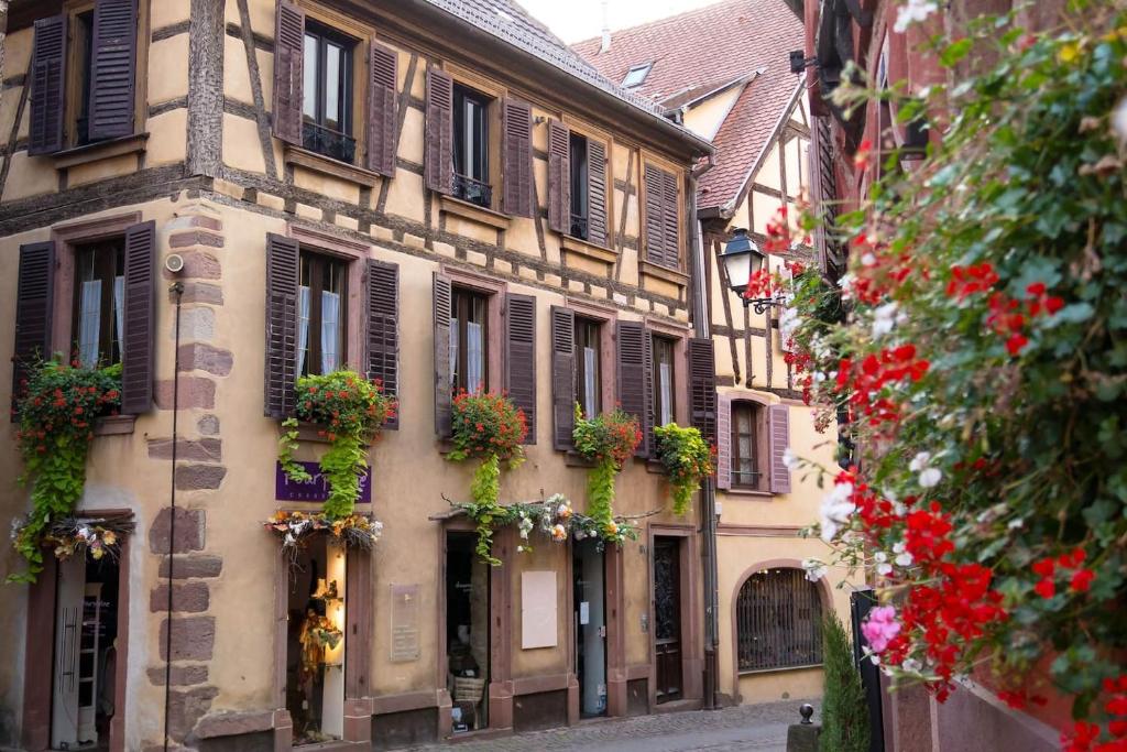 charmant appartement alsacien – photo 16