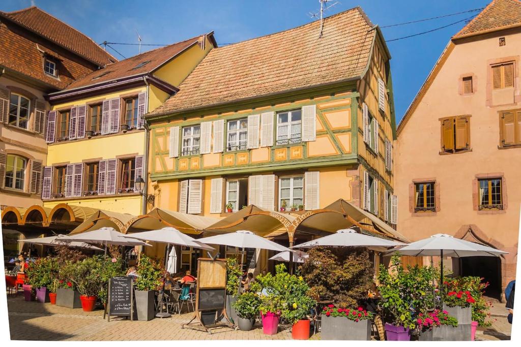 charmant appartement alsacien – photo 6