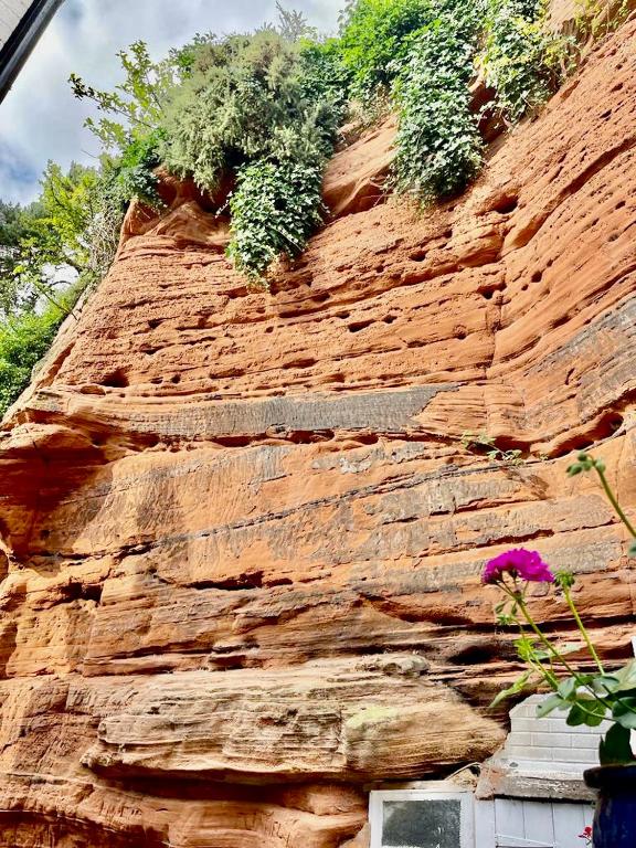 a rock wall with plants on top of it at Quatford hideaway in Quatford