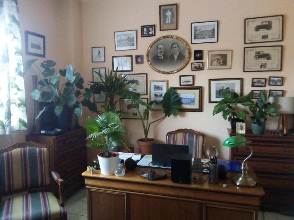 Villa Minerva في جلونا غورا: مكتب فيه مكتب فيه كمبيوتر والنباتات