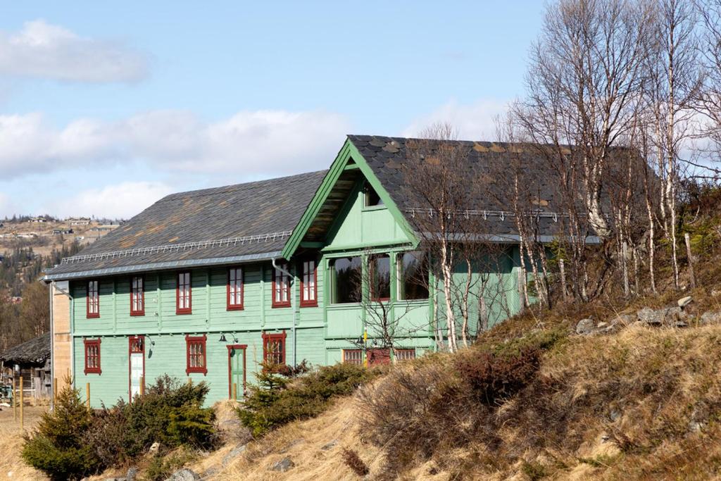 ein grünes Haus auf einem Hügel in der Unterkunft Valseter in Sør-Fron