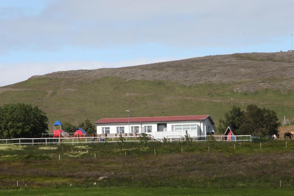 una casa en un campo con una colina en el fondo en Grímsstaðir holiday home - Family friendly, en Reykholt